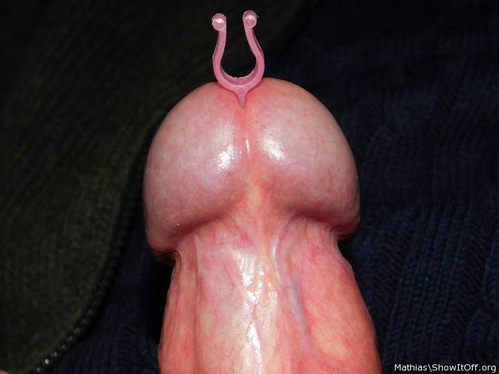 cockhead horns