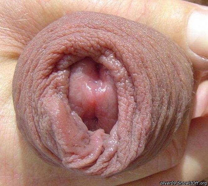 Foreskin Lovers