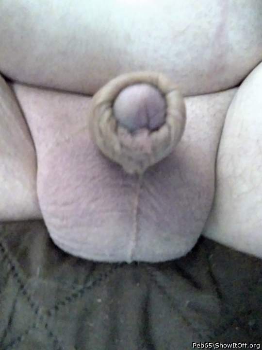 Photo of a boner from Peb65