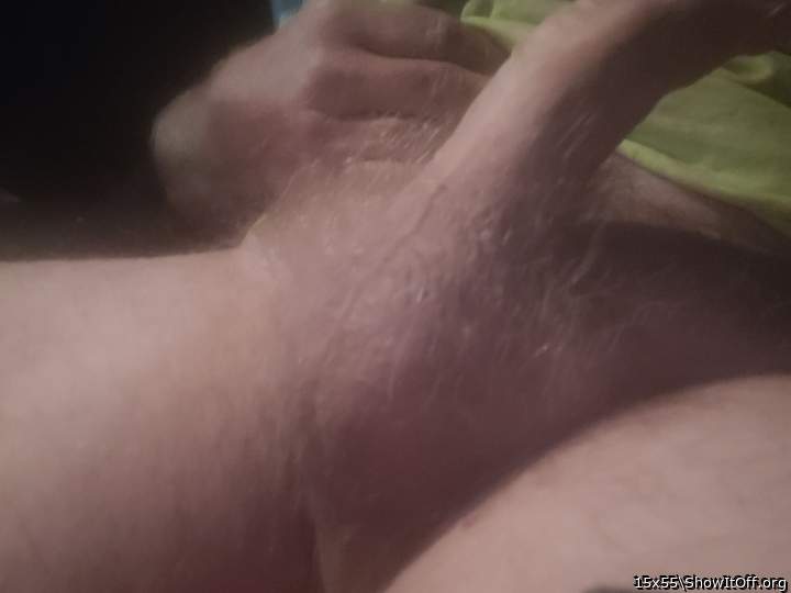 Photo of a weasel from 15x55
