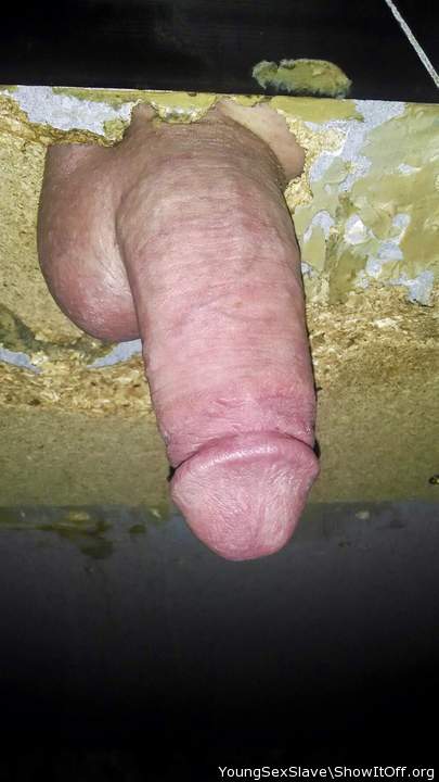 Cock I have sucked through gloryhole