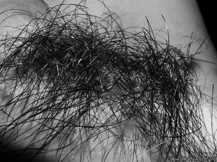 My Pube......