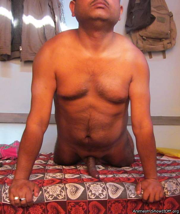 Photo of a dong from Animesh
