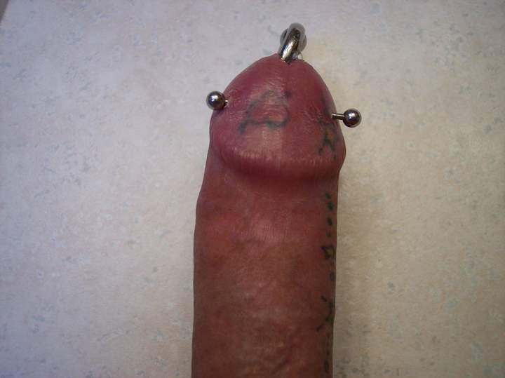 Photo of a weasel from Olddude