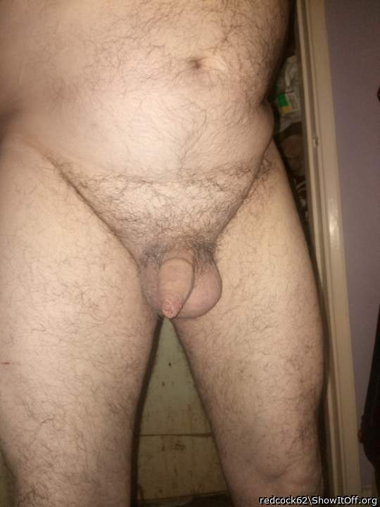 Photo of a middle leg from redcock62