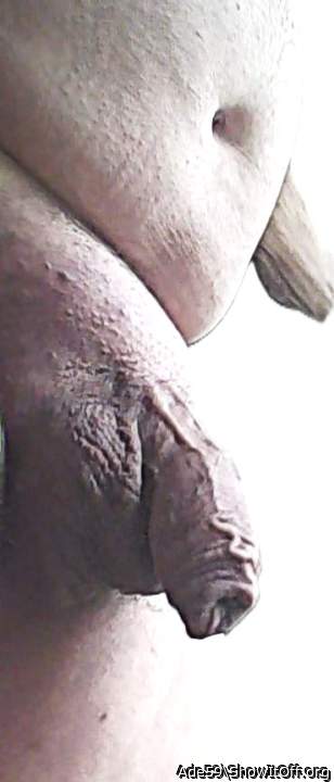 Photo of a bald-headed mouse from Ade59