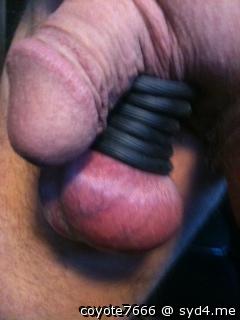 Photo of a dick from coyote7666