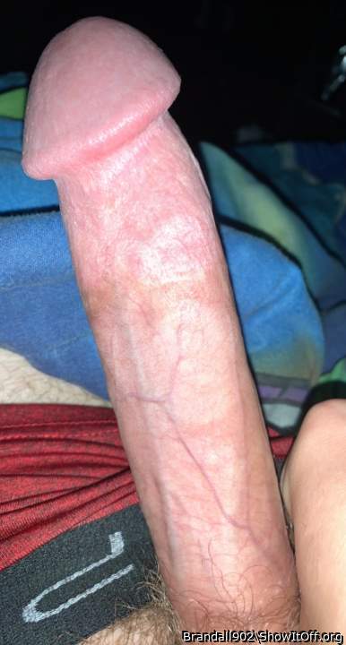 Photo of a sausage from Brandall902