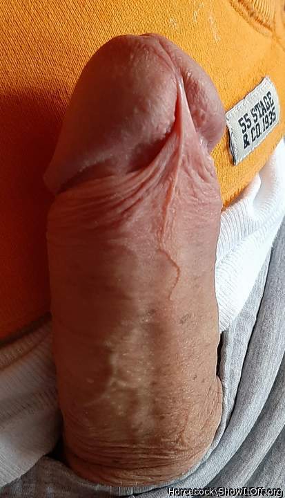 Photo of a bat from massivecock
