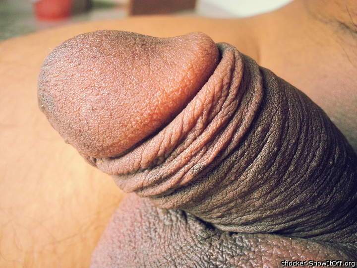Photo of a dong from chocker
