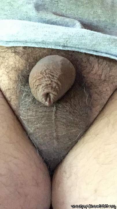 Tiny Guy