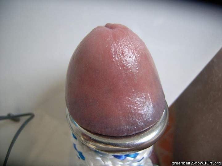 Photo of a meat stick from greenbelt