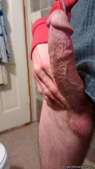 Photo of a horn from Mrjgib