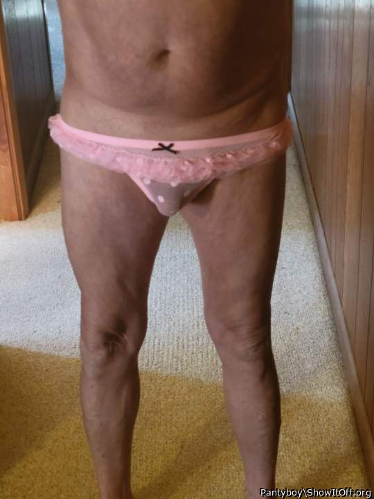 Photo of a bat from Pantyboy