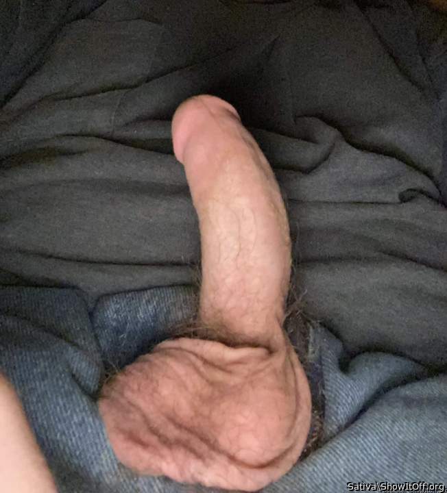 Photo of a cock from Sativa