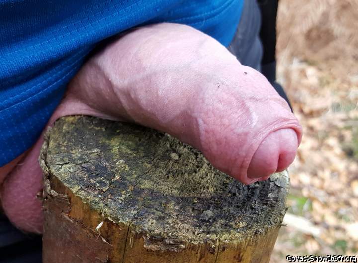 Dick und saftig schaut er aus 