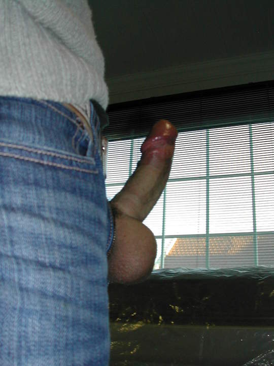 Photo of a wiener from 1035