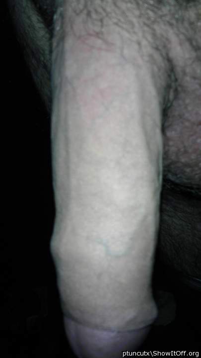 Photo of a weasel from ptuncutx