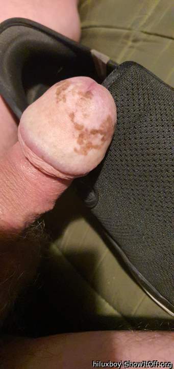 Photo of a horn from hiluxboy