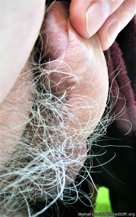 hairy and horny