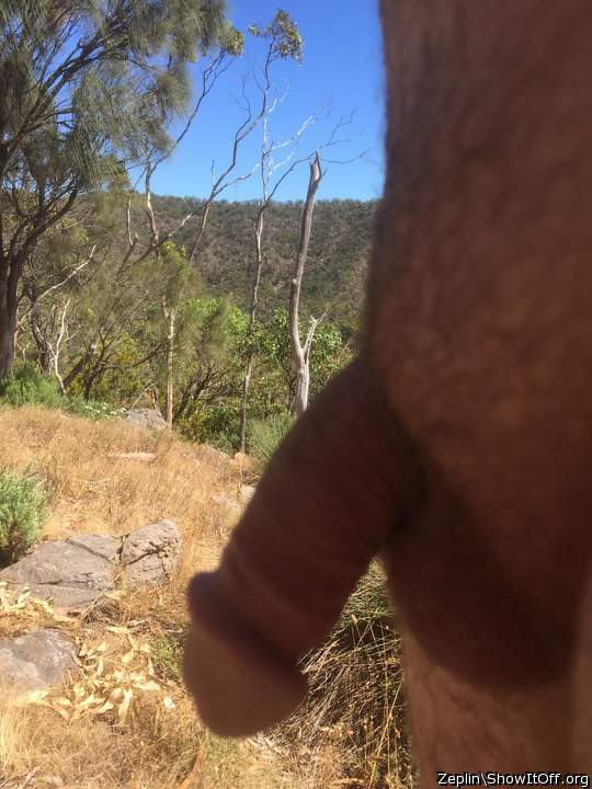 Fresh air made it grow a bit