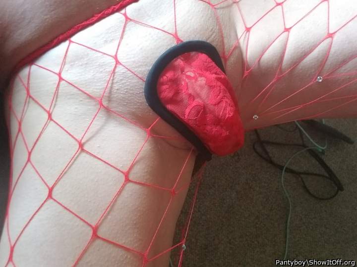 Photo of a pecker from Pantyboy