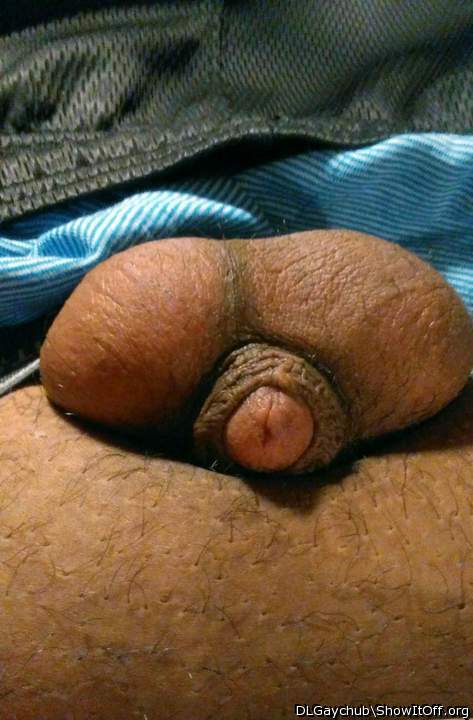 Photo of a wiener from DLGaychub