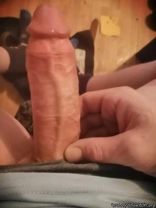 Photo of a power tool from Brisboy