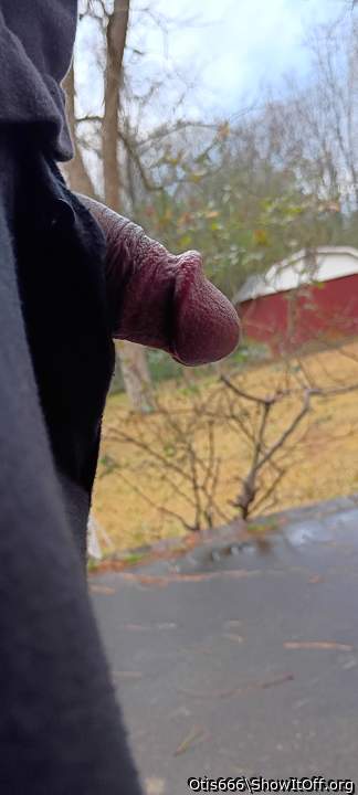 Photo of a bat from Otis666