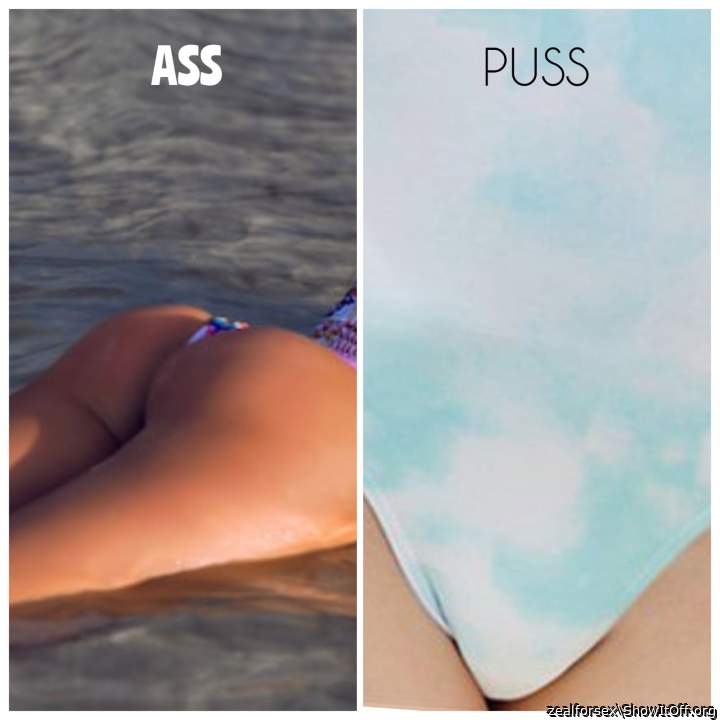 Beach Puss 3
