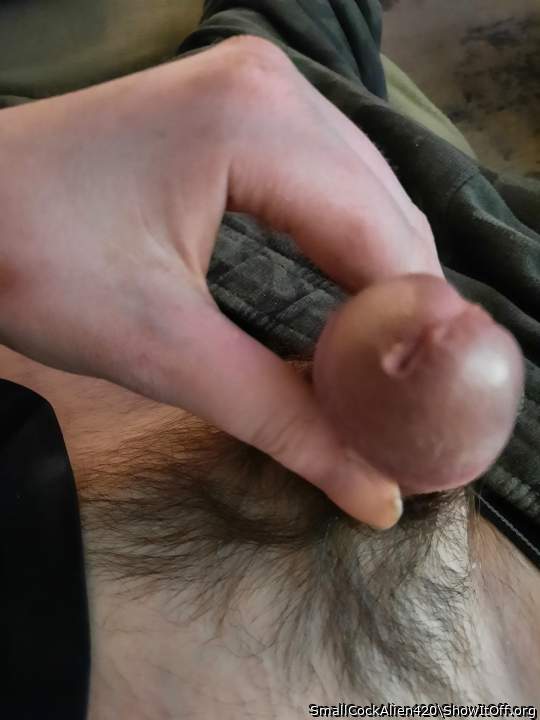 Photo of a weasel from SmallCockAlien420