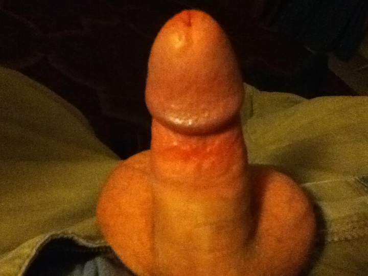 Photo of a schlong from PoopSmith