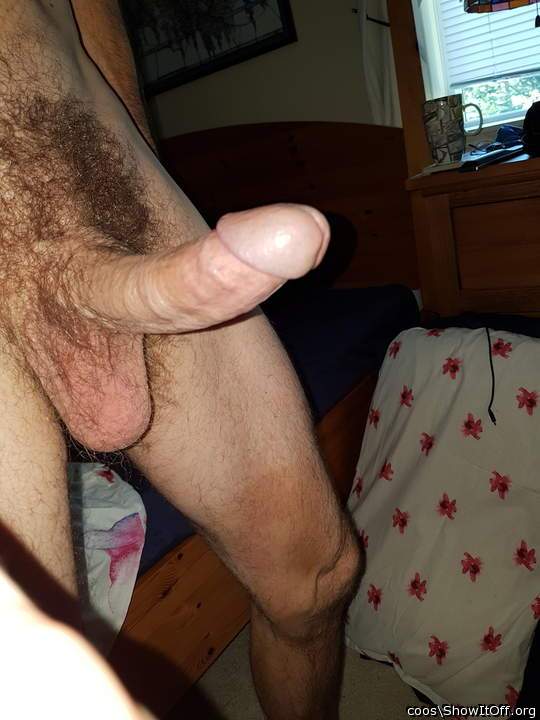 Magnificent erection, big knob, neat circ scar, nice big bal