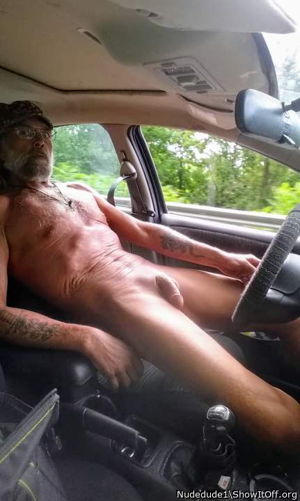 Photo of a bat from Nudedude1