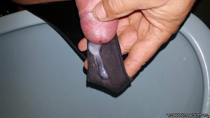 Photo of a middle leg from er1966