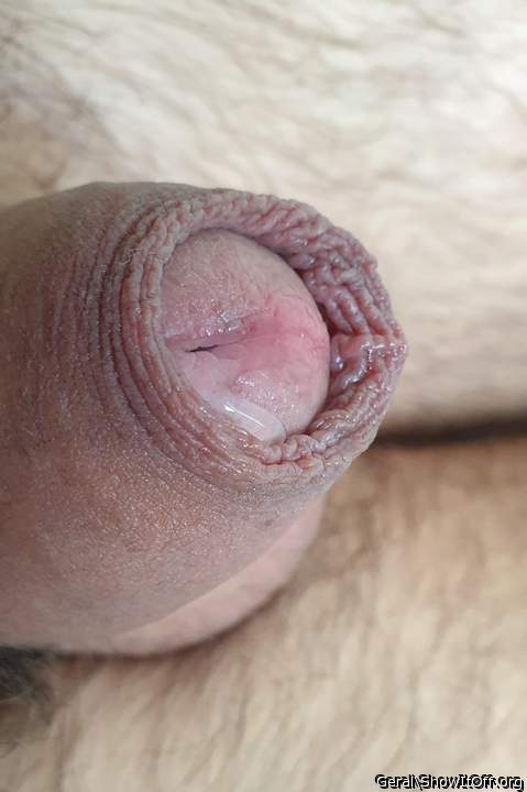 Wonderful foreskin 