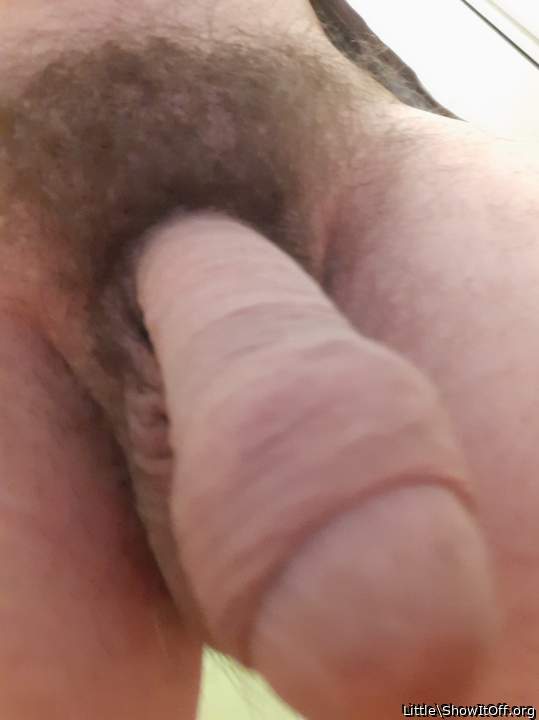 Photo of a pecker from Little