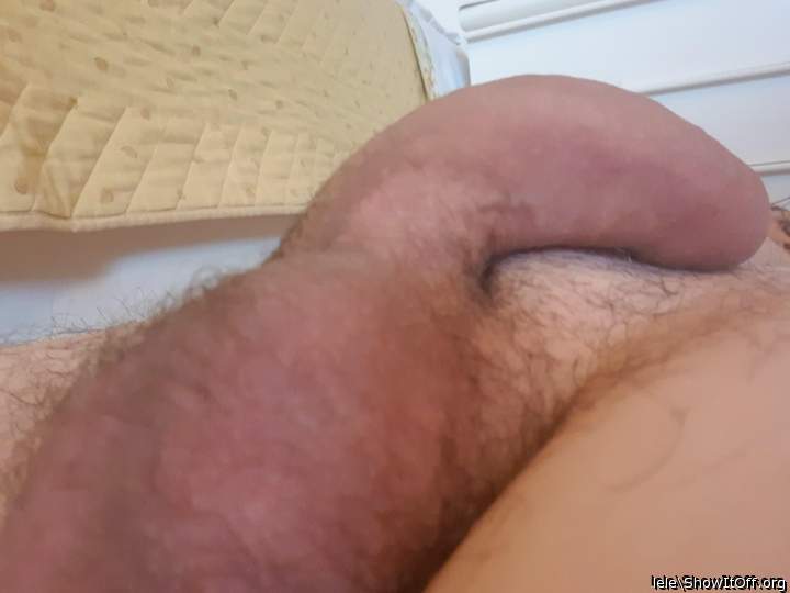 Photo of a schlong from lele
