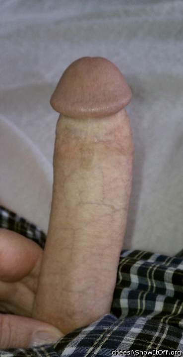 Photo of a tool from cheesi