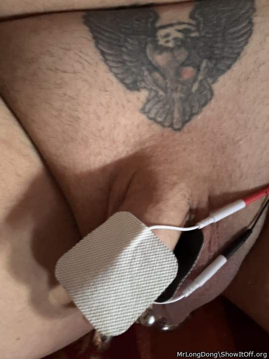 E-stimming the cock.
