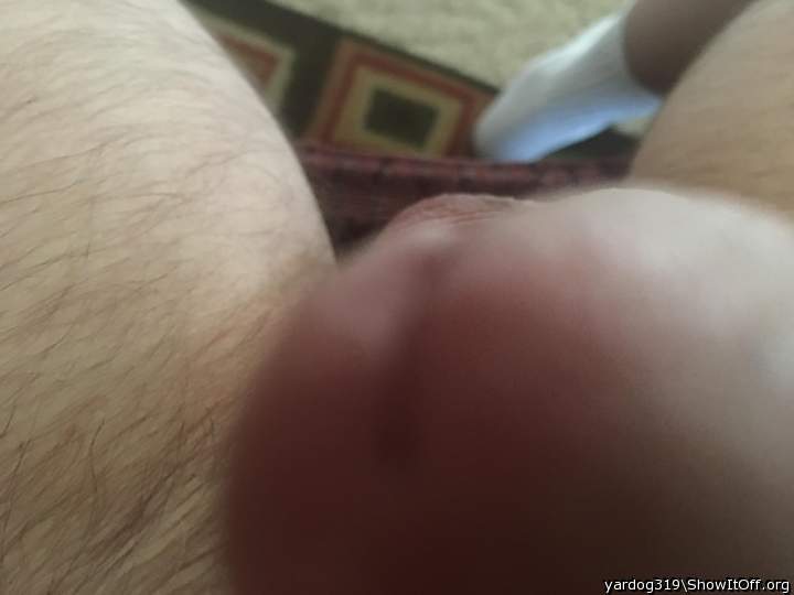 Photo of a boner from yardog319
