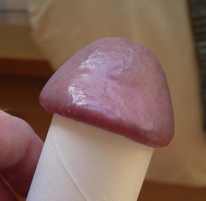 Photo of a horn from greenbelt