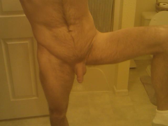 Photo of a bat from yardog319
