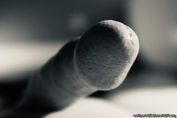 Photo of a snake from Wolfpack95
