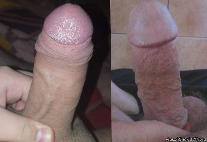 Two cocks