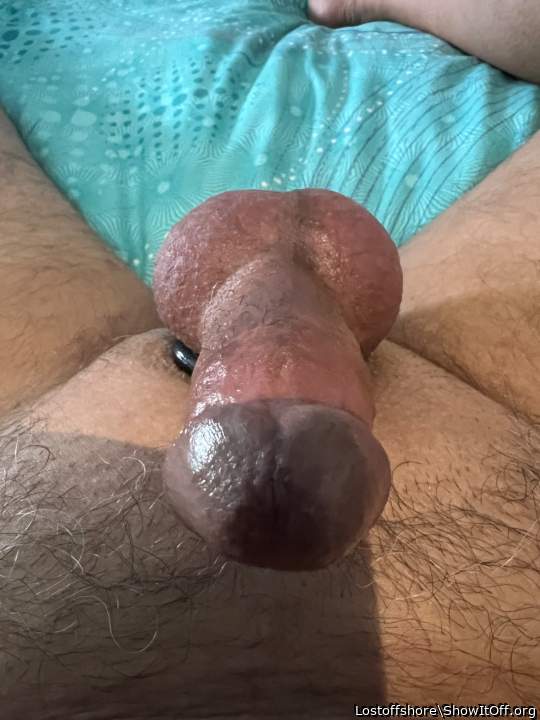 Good looking cock and balls