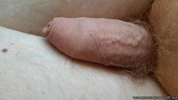 Great uncut cock 