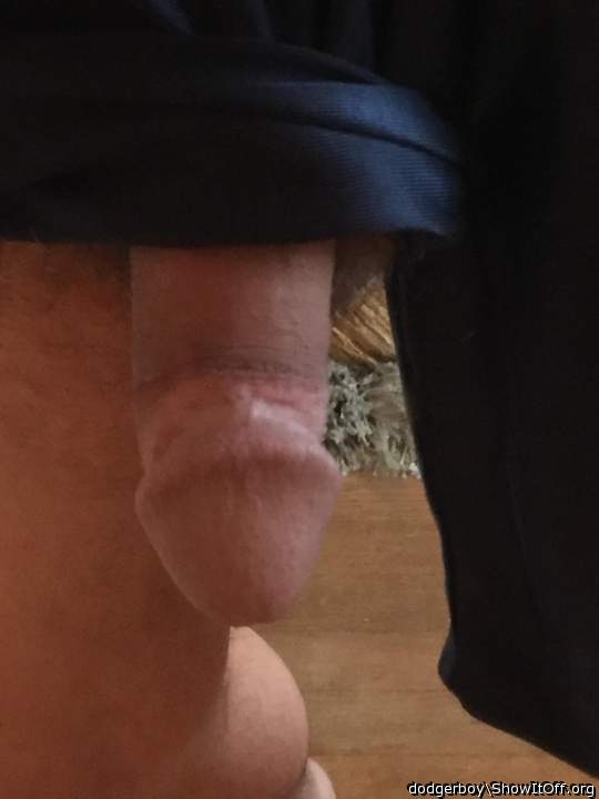 Photo of a horn from dodgerboy