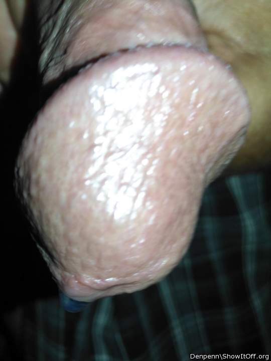 Photo of a stiffie from Denpenn