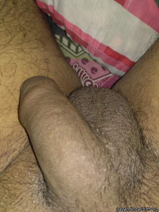 Photo of a middle leg from pavan